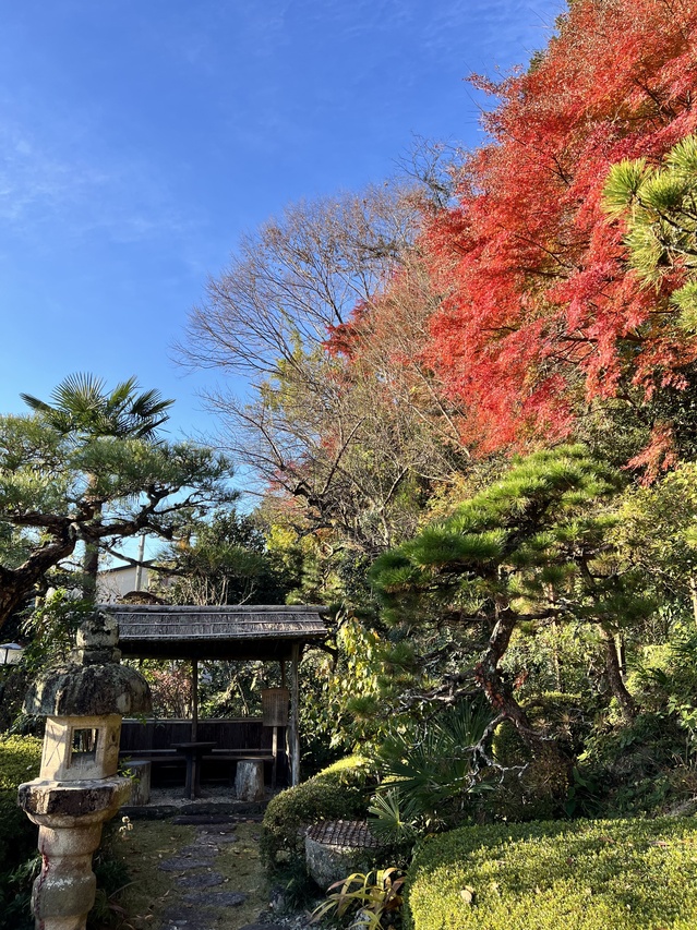 2024庭園紅葉風景.jpg